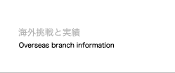 海外挑戦と実績